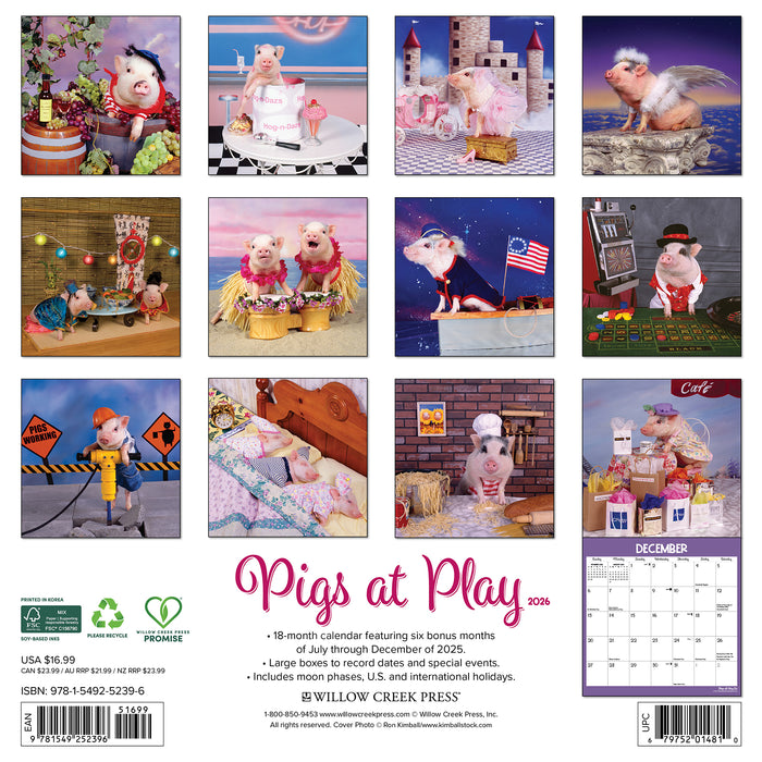 Pigs at Play 2026 Square Wall Calendar