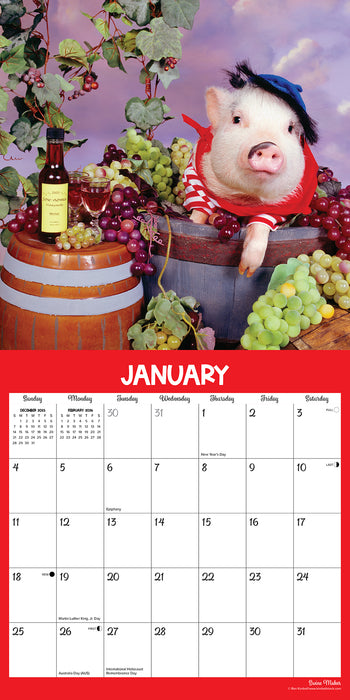 Pigs at Play 2026 Square Wall Calendar