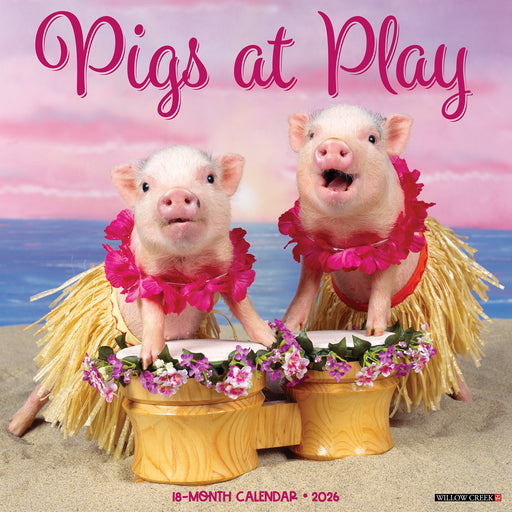 Pigs at Play 2026 Square Wall Calendar