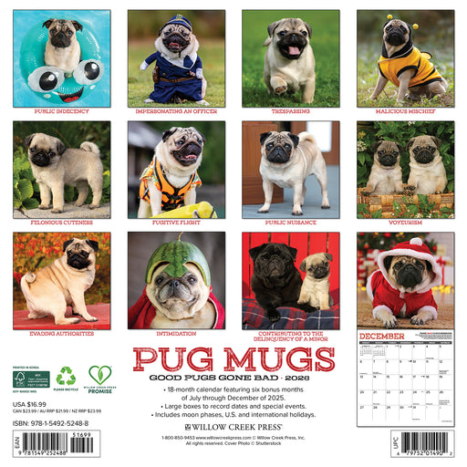 Pug Mugs 2026 Square Wall Calendar