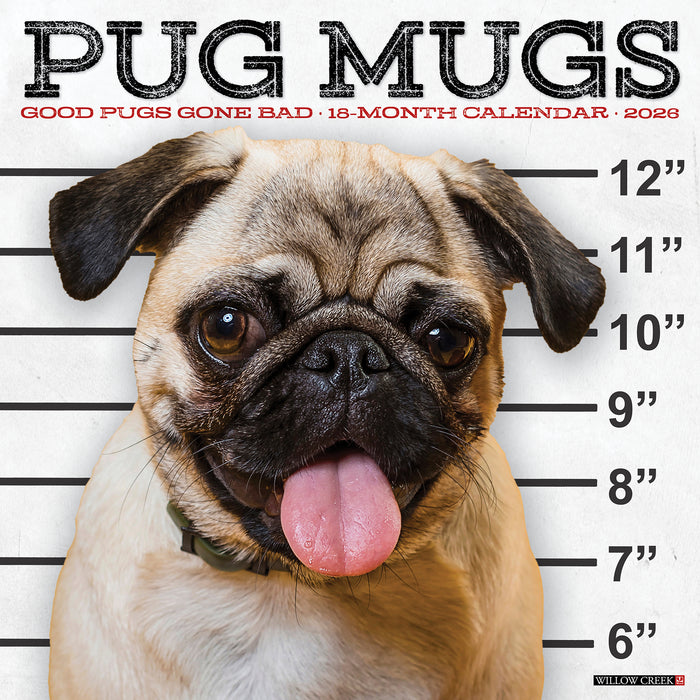 Pug Mugs 2026 Square Wall Calendar