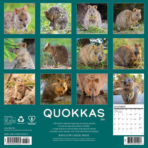 Quokkas 2026 Square Wall Calendar