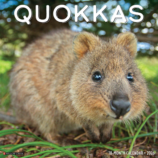 Quokkas 2026 Square Wall Calendar
