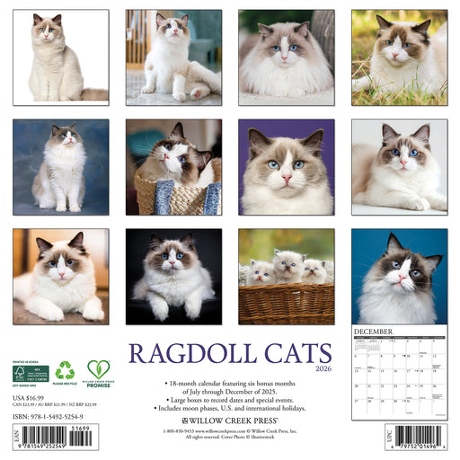 Ragdoll Cats 2026 Square Wall Calendar