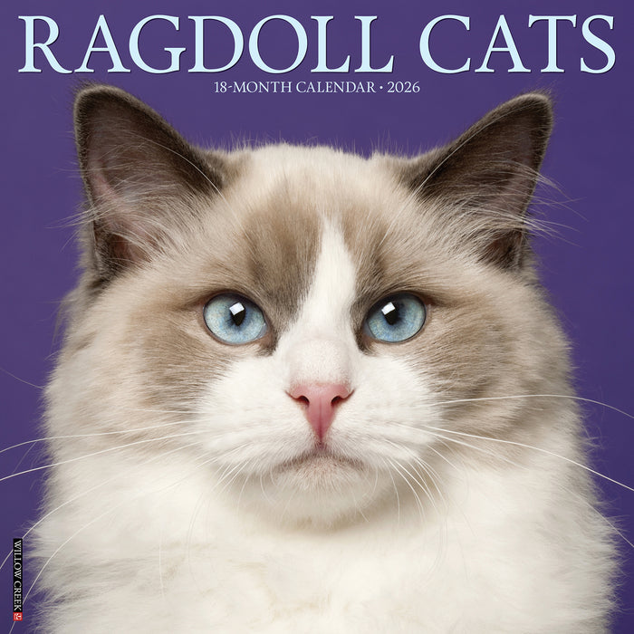 Ragdoll Cats 2026 Square Wall Calendar