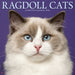 Ragdoll Cats 2026 Square Wall Calendar