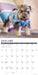 Schnauzer Puppies 2026 Square Wall Calendar