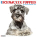 Schnauzer Puppies 2026 Square Wall Calendar