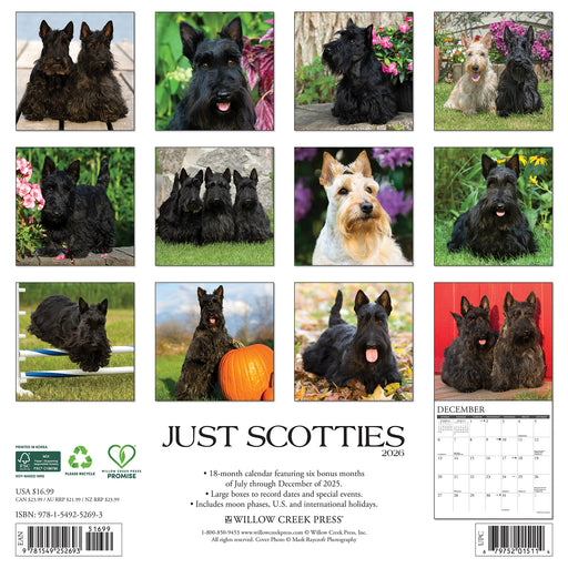 Scotties 2026 Square Wall Calendar
