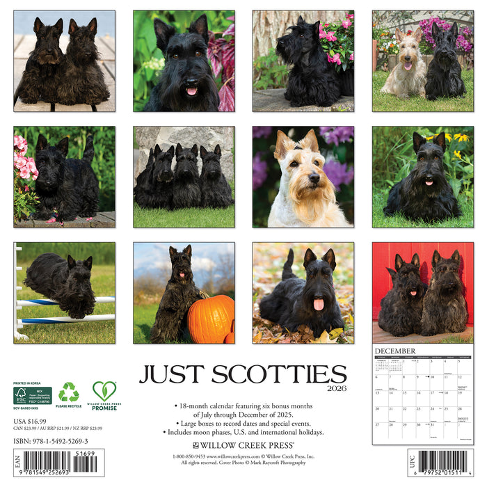 Scotties 2026 Square Wall Calendar