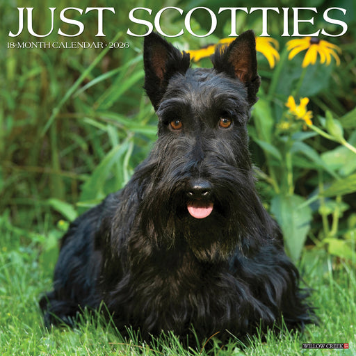 Scotties 2026 Square Wall Calendar