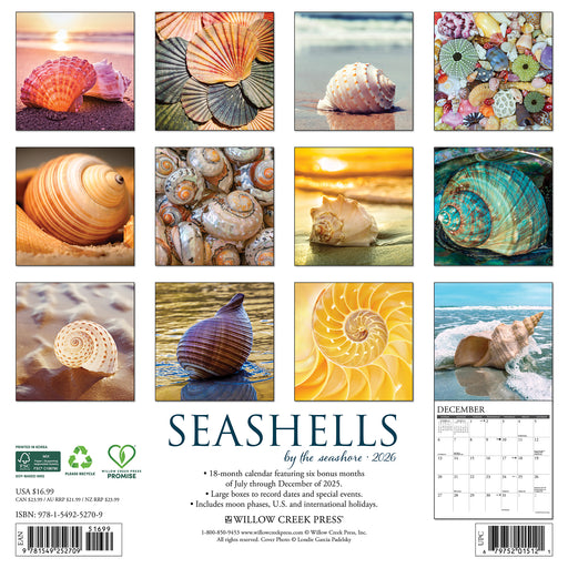 Seashells 2026 Square Wall Calendar