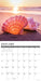 Seashells 2026 Square Wall Calendar