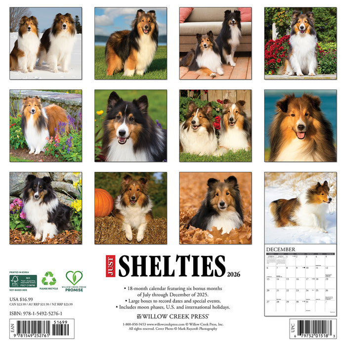Shelties 2026 Square Wall Calendar
