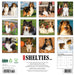 Shelties 2026 Square Wall Calendar