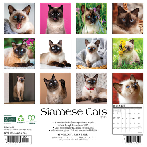 Siamese Cats 2026 Square Wall Calendar