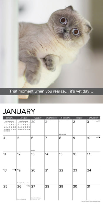 Snapcats 2026 Square Wall Calendar
