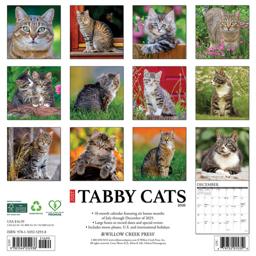 Tabby Cats 2026 Square Wall Calendar