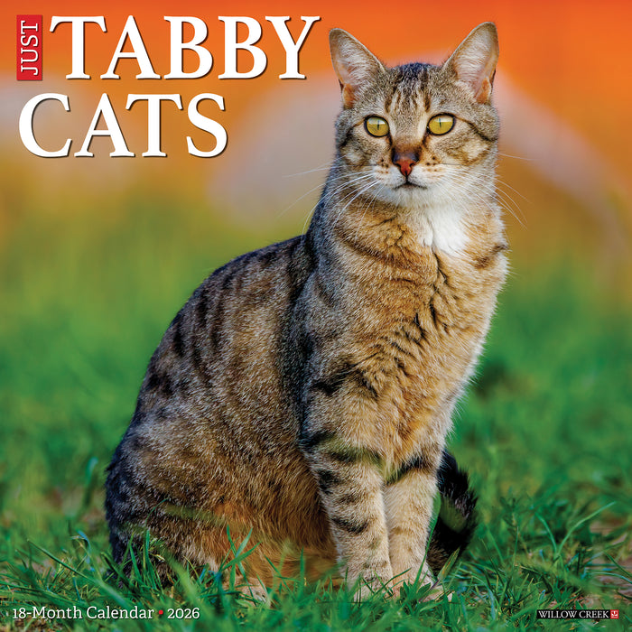 Tabby Cats 2026 Square Wall Calendar