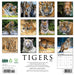 Tigers 2026 Square Wall Calendar