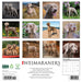 Weimaraners 2026 Square Wall Calendar