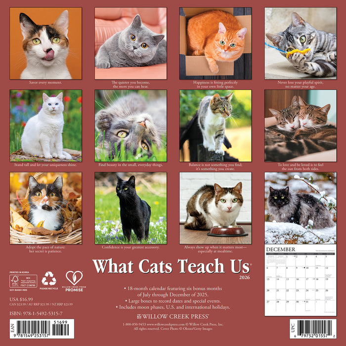 What Cats Teach Us 2026 Square Wall Calendar