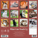 What Cats Teach Us 2026 Square Wall Calendar