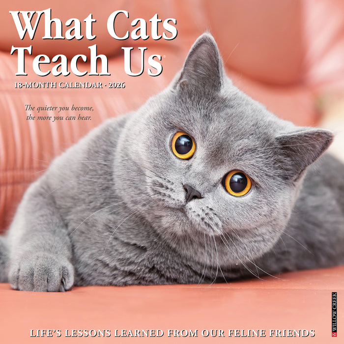 What Cats Teach Us 2026 Square Wall Calendar