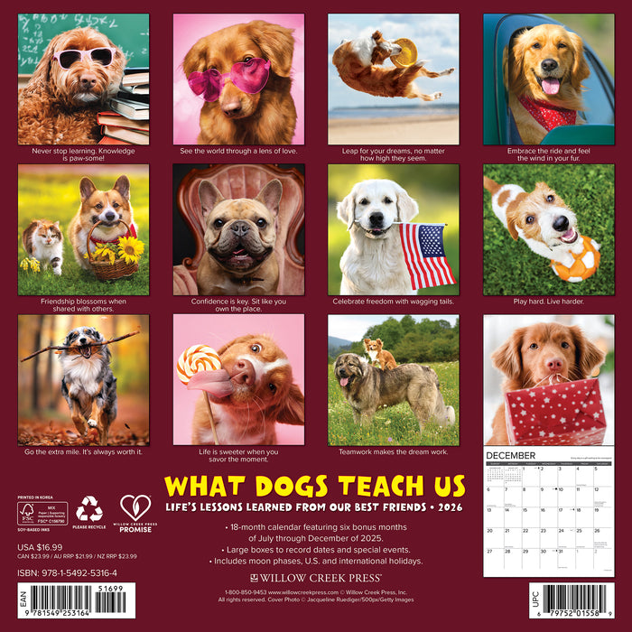 What Dogs Teach Us 2026 Square Wall Calendar
