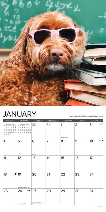 What Dogs Teach Us 2026 Square Wall Calendar