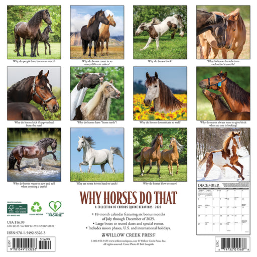 Why Horses Do That 2026 Square Wall Calendar