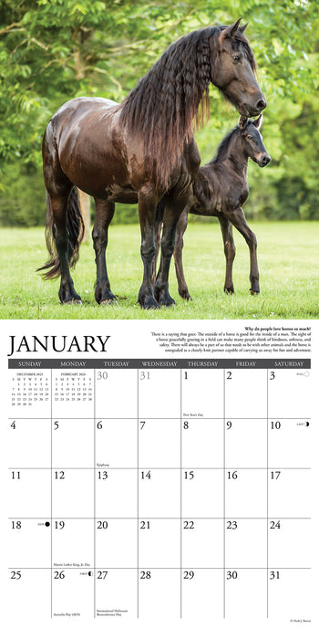 Why Horses Do That 2026 Square Wall Calendar