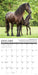 Why Horses Do That 2026 Square Wall Calendar