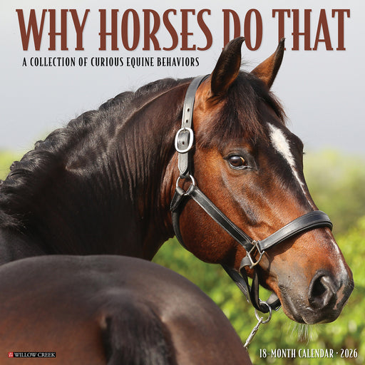 Why Horses Do That 2026 Square Wall Calendar