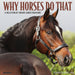 Why Horses Do That 2026 Square Wall Calendar