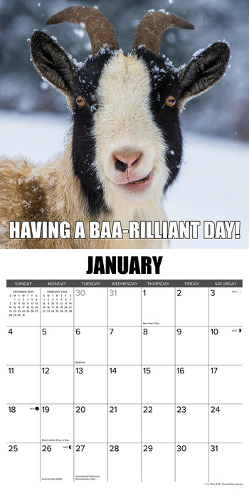 You Goat This 2026 Square Wall Calendar