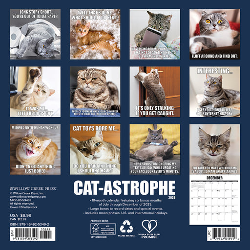 Cat Astrophe 2026 Mini Wall Calendar
