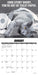 Cat Astrophe 2026 Mini Wall Calendar