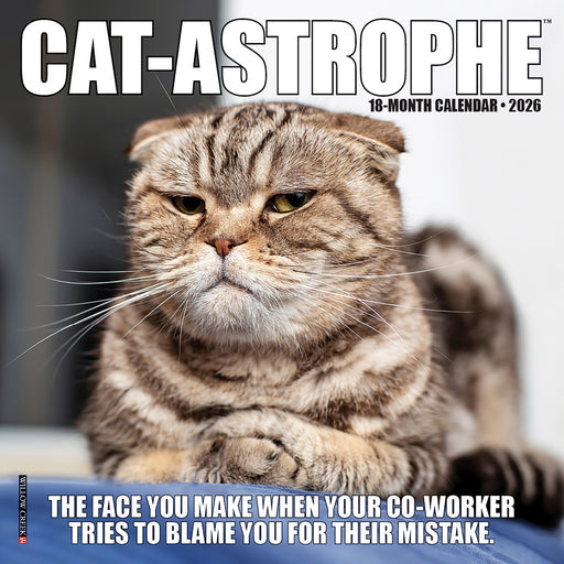 Cat Astrophe 2026 Mini Wall Calendar