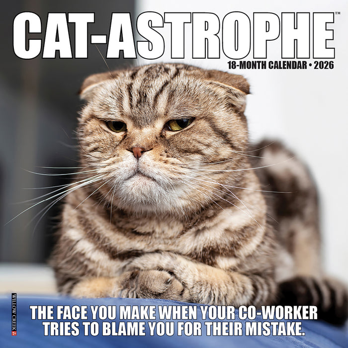 Cat Astrophe 2026 Mini Wall Calendar