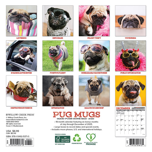 Pug Mugs 2026 Mini Wall Calendar