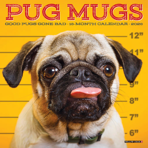 Pug Mugs 2026 Mini Wall Calendar
