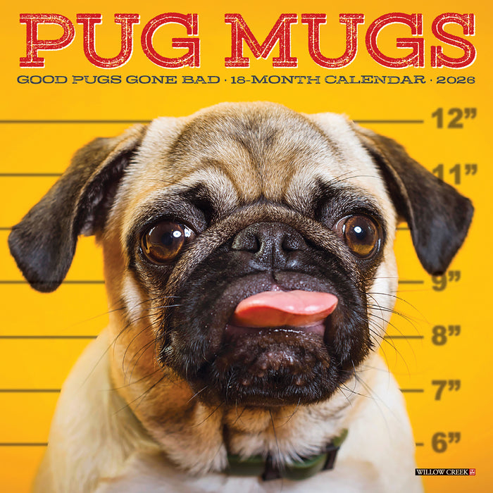 Pug Mugs 2026 Mini Wall Calendar