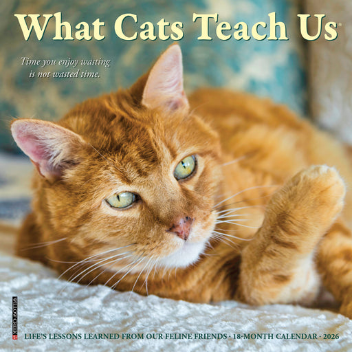 What Cats Teach Us 2026 Mini Wall Calendar