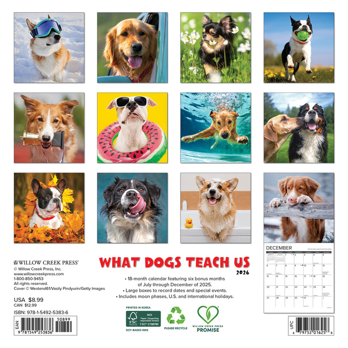 What Dogs Teach Us 2026 Mini Wall Calendar