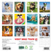What Dogs Teach Us 2026 Mini Wall Calendar
