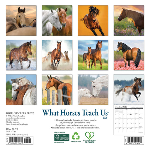 What Horses Teach Us 2026 Mini Wall Calendar