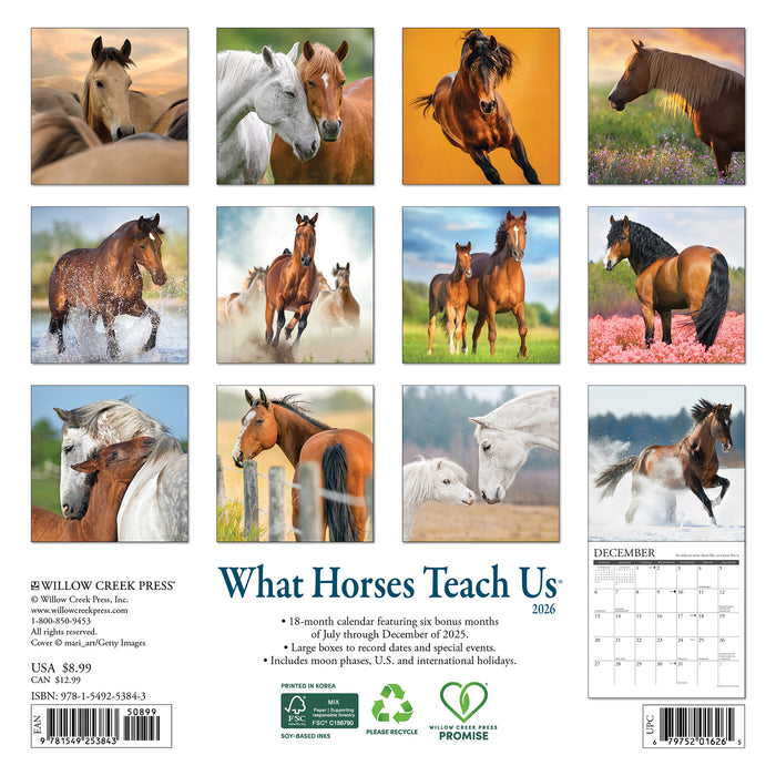 What Horses Teach Us 2026 Mini Wall Calendar