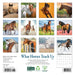 What Horses Teach Us 2026 Mini Wall Calendar