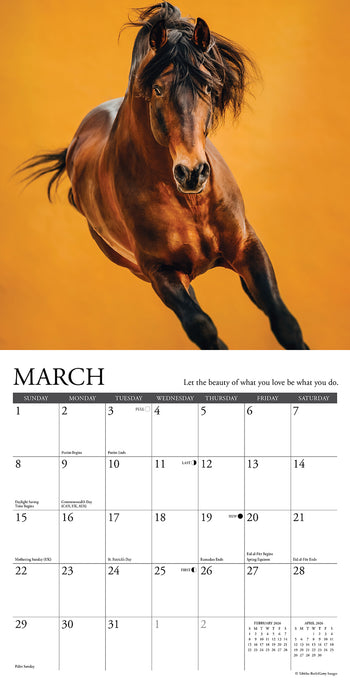 What Horses Teach Us 2026 Mini Wall Calendar